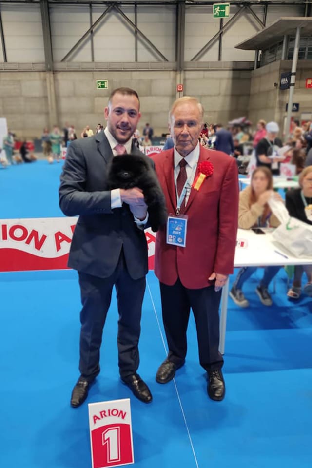 Pomeranian kennel Queen of North at Madrid Dog Show 2022 judges