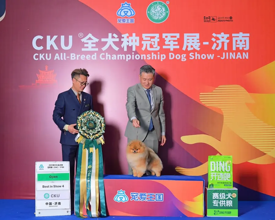 Amys Poms Beaten Bao Pupu Gallery 1