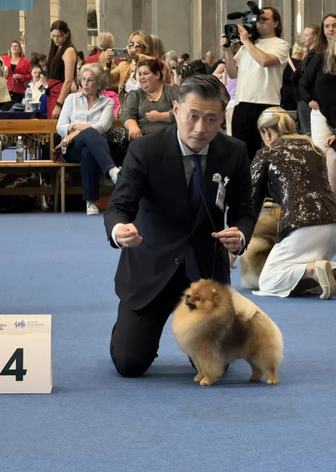 Amys Poms Beaten Bao Pupu Gallery 11