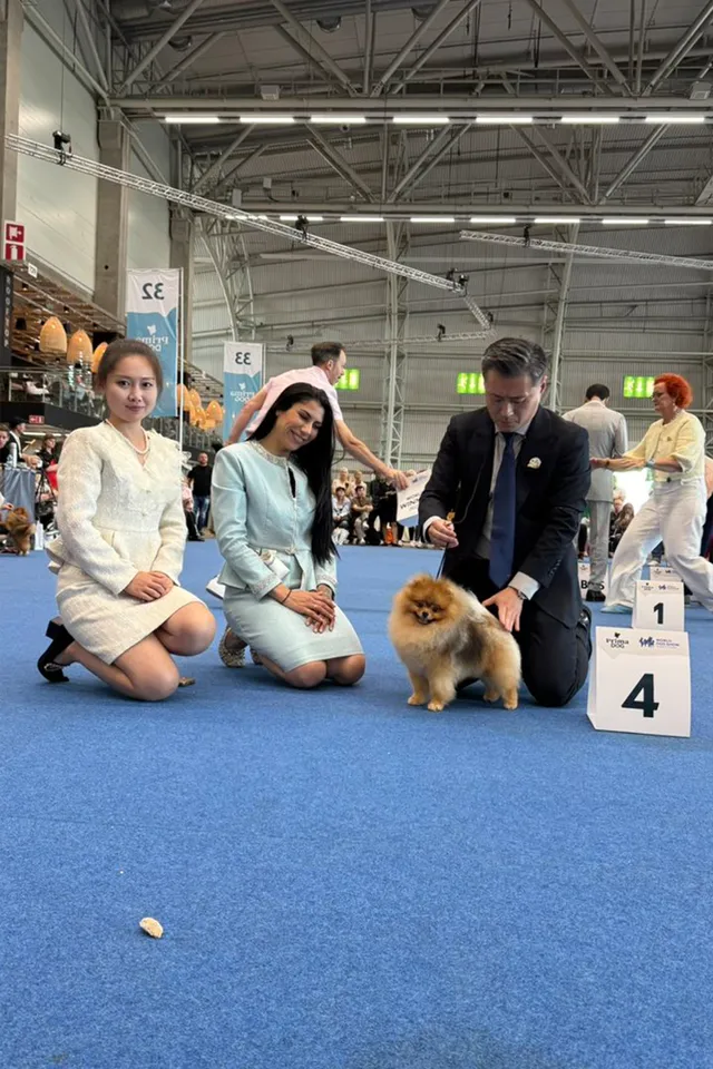 Amys Poms Beaten Bao Pupu Gallery 2