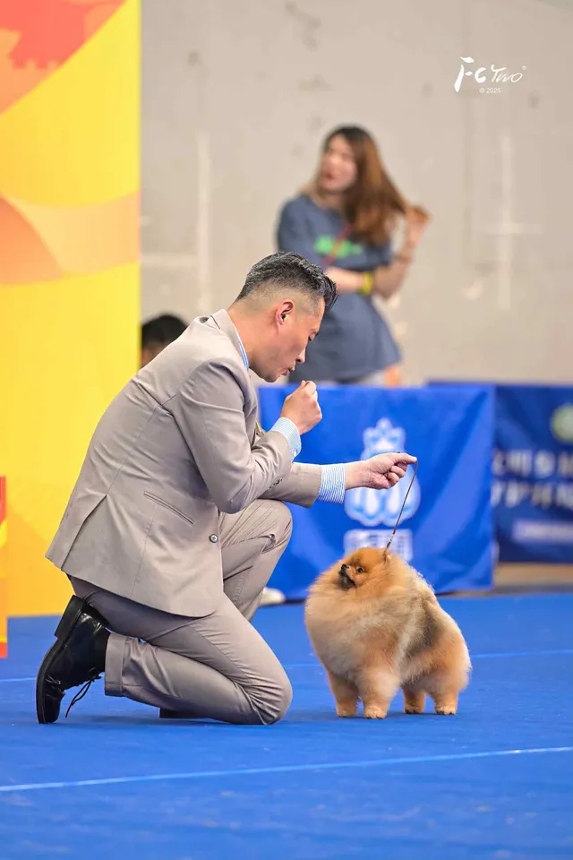 Amys Poms Beaten Bao Pupu Gallery 3