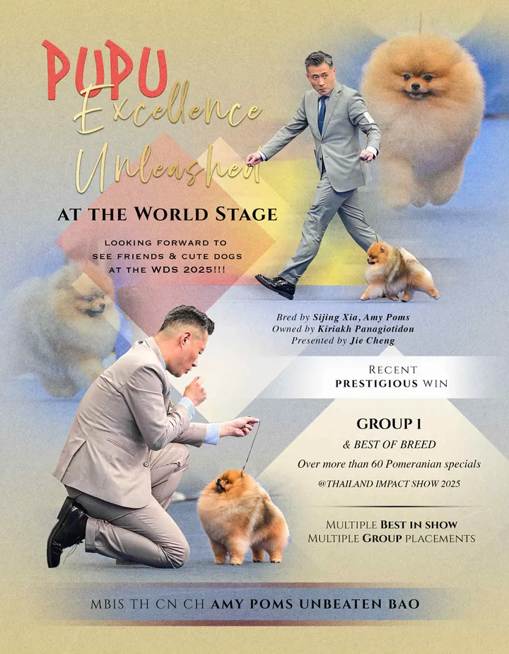 Amys Poms Beaten Bao Pupu Gallery 7