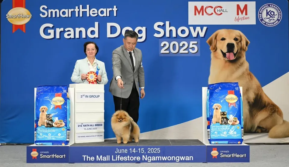 Amys Poms Beaten Bao Pupu Gallery 8