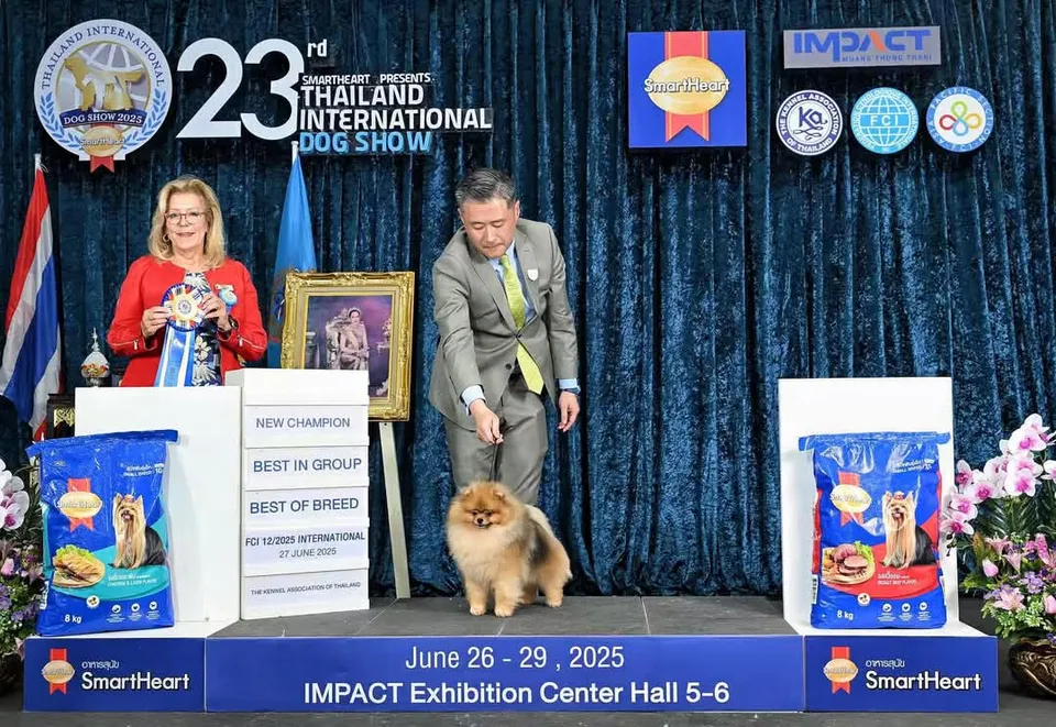 Amys Poms Beaten Bao Pupu Gallery 9