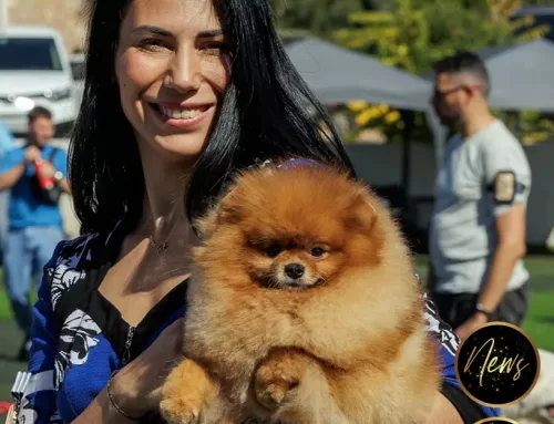 Athens Autumn International Dog Show