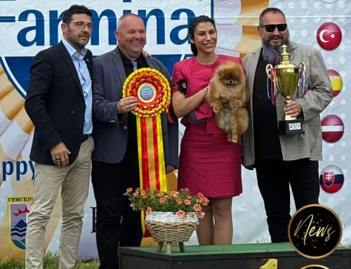 Like Father, Like Daughter