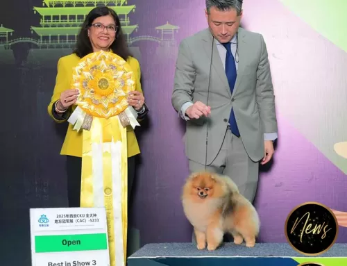 Pupu Victory – Photos from China and Thailand