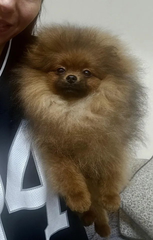 Queen of North Felicity Gallery 1