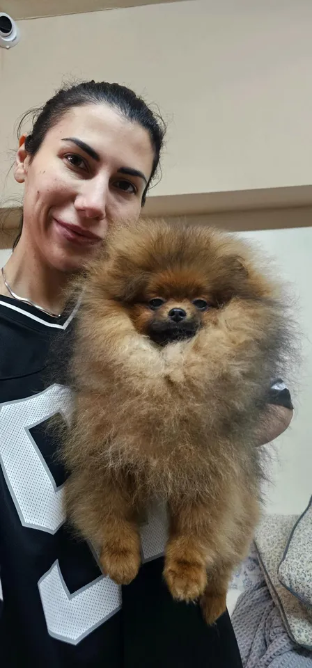 Queen of North Felicity Gallery 3