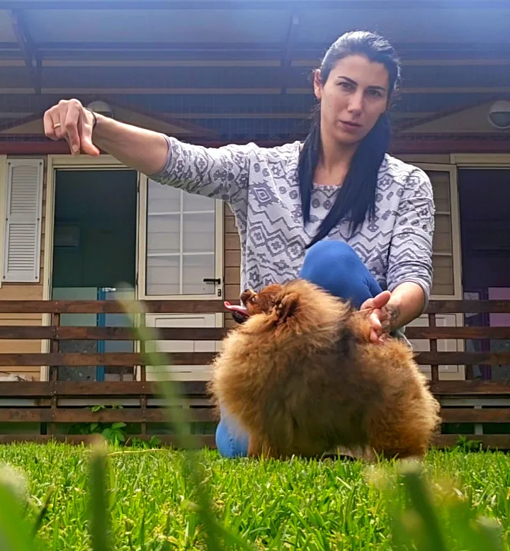 Queen of North Felicity Gallery 5