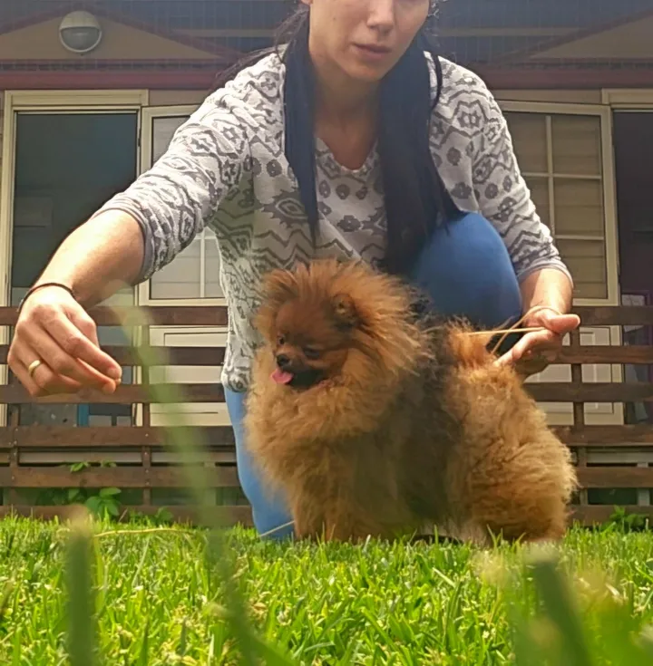 Queen of North Felicity Gallery 6