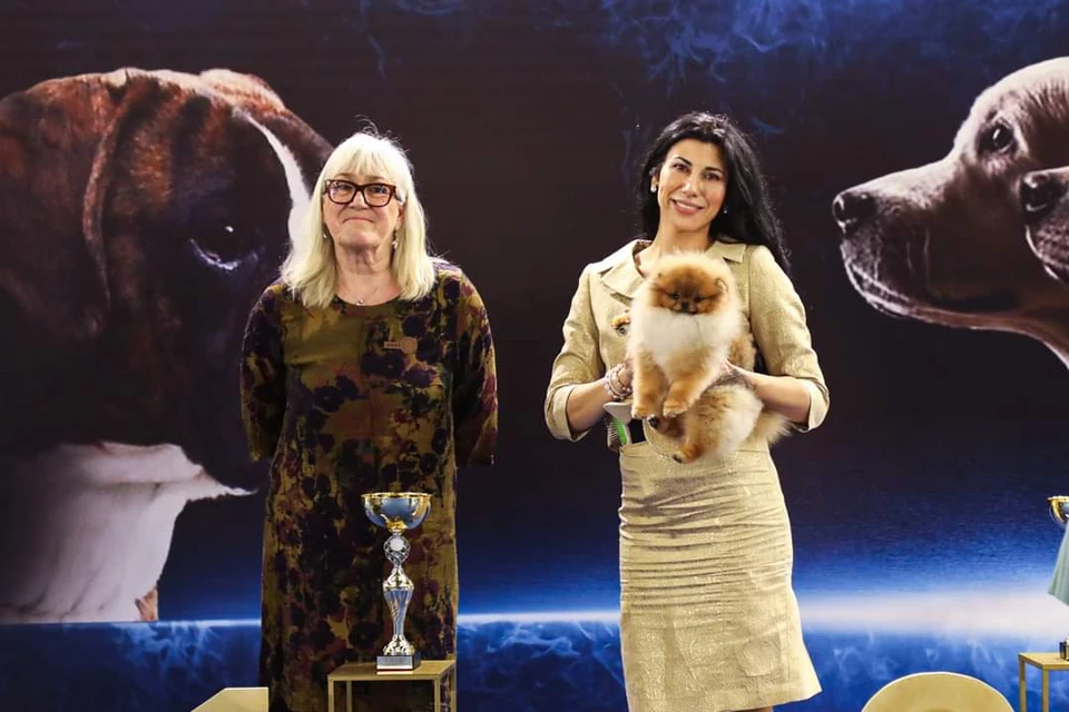 Queen of North Gin Sling Koko Gallery 7