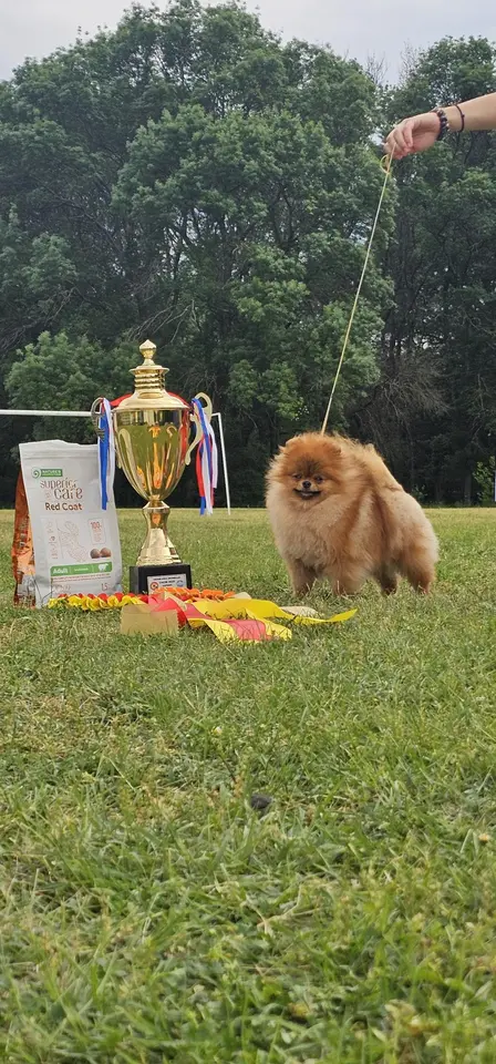 Queen of North Power Gallery 2