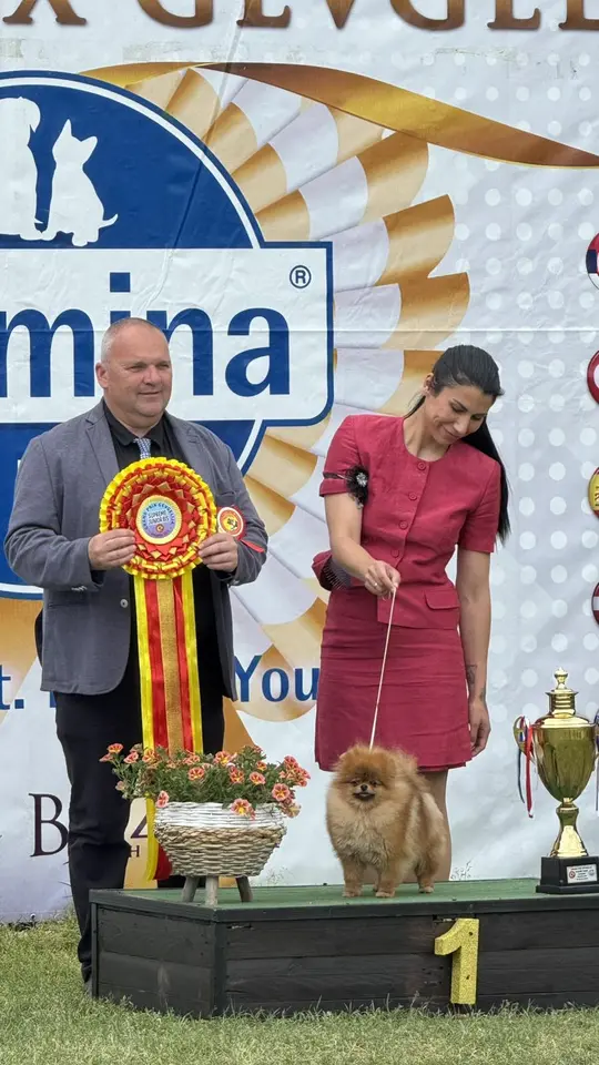 Queen of North Power Gallery 3