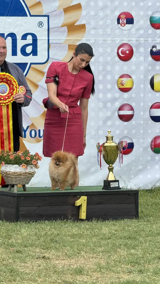 Queen of North Power Gallery 4