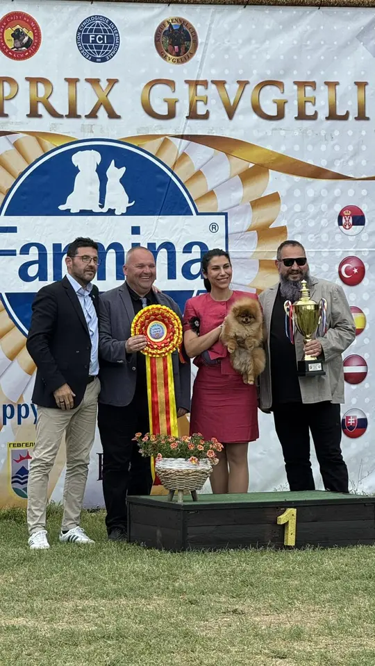 Queen of North Power Gallery 5