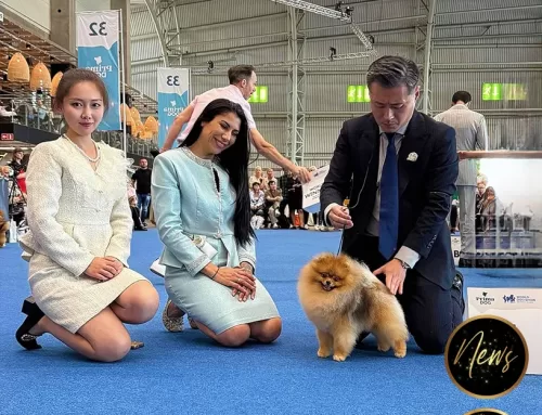 WDS Helsinki 2025 – Results